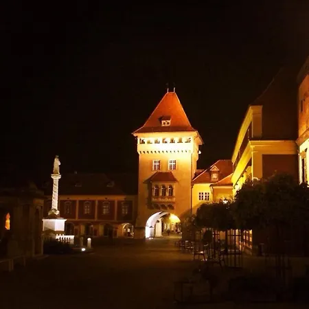 Green Comfort Inside Or Outside Koszeg Exterior photo