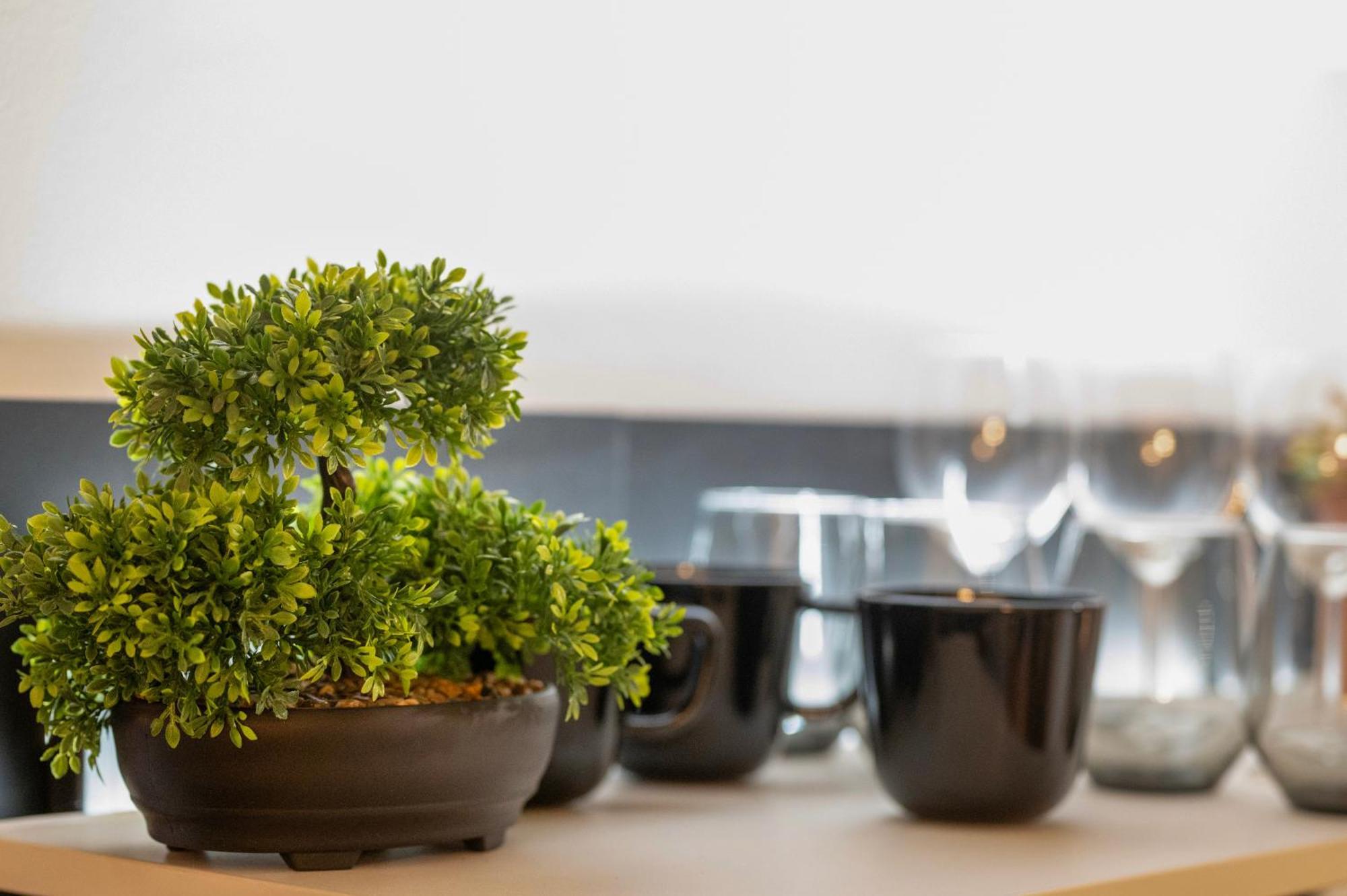 Comfort Inside Or Outside Apartment Koszeg
